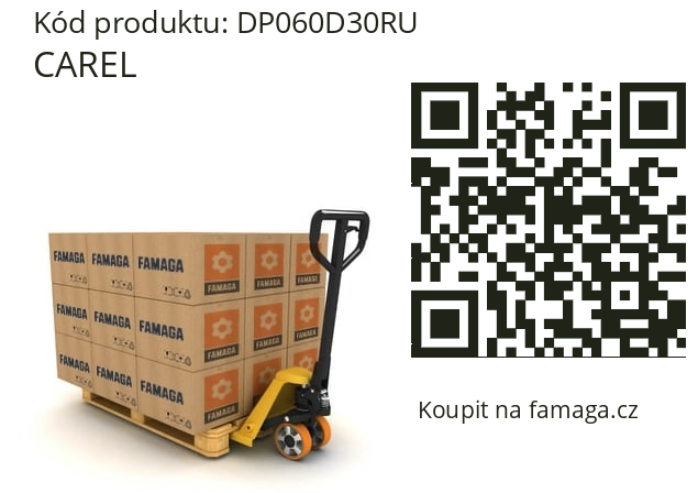 CAREL  DP060D30RU