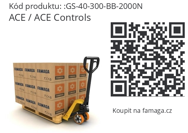   ACE / ACE Controls GS-40-300-BB-2000N