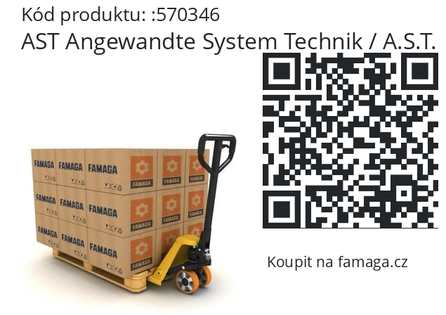   AST Angewandte System Technik / A.S.T. 570346
