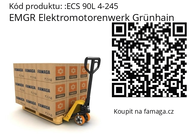   EMGR Elektromotorenwerk Grünhain ECS 90L 4-245