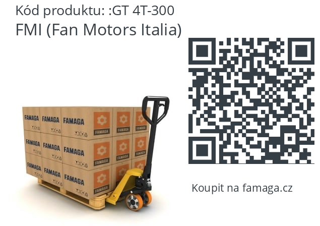   FMI (Fan Motors Italia) GT 4T-300