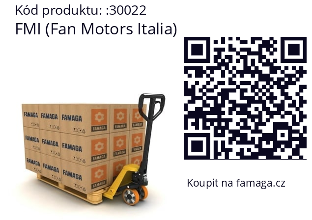   FMI (Fan Motors Italia) 30022
