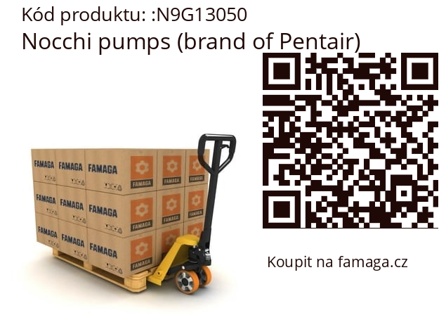   Nocchi pumps (brand of Pentair) N9G13050