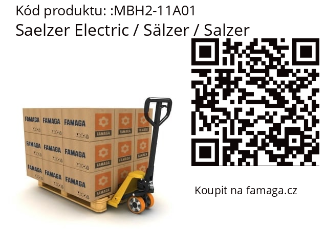   Saelzer Electric / Sälzer / Salzer MBH2-11A01